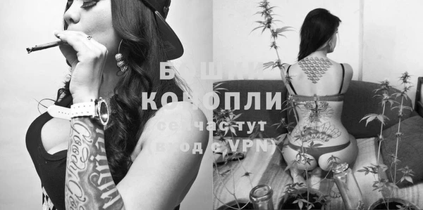 альфа пвп Медвежьегорск