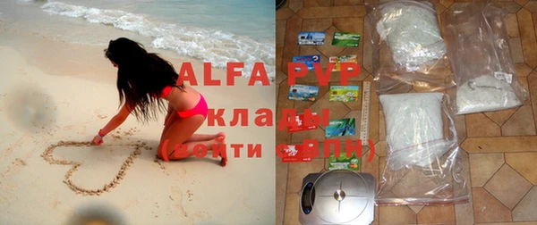 альфа пвп Медвежьегорск