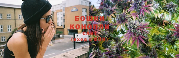 крисы Великий Новгород